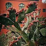 Ferienhaus Casa De Guia *